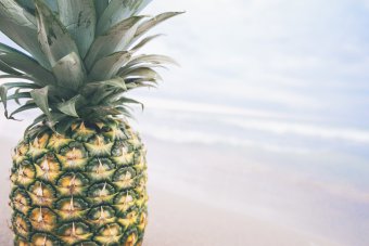 wyciskanie soku z ananasa 